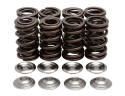 KPMI Valve Springs and Ti Retainers