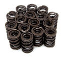 KPMI Valve Springs