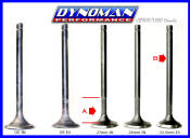 Dynoman Valves for CB1100F